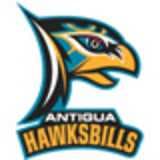Hawksbills