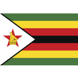 ZIM Women