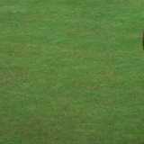 Mortaza ruled out of Zimbabwe ODIs