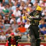 WICB clears Gayle to play for Western Australia