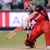 New-look Redbacks hope to find their bite