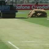 WACA stripped of Test in 2014-15