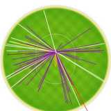 Discipline, Sehwag style
