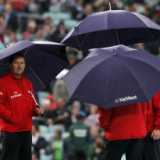 A biology-inspired rain rule for T20s