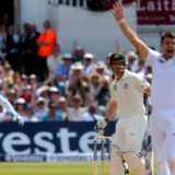 Take DRS off players' hands - Haddin