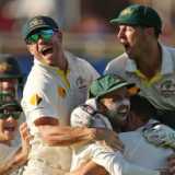 Harris, Haddin, Rogers to push on
