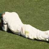Of fielding and statistics