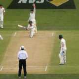 Pink cherry on Nathan Lyon's bat