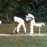 Lit pitches, murdered wickets