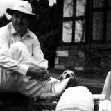 What comebacks tell us about cricket cultures