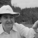 The inscrutable MCC