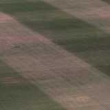 How do batsmen cope with the intensity of their lonely skill?