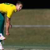 Dwaine Pretorius called up to replace Steyn
