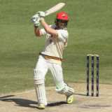 Lehmanns can make it work - Alec Stewart