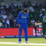 The pain of Wahab and Hamid, in victory and defeat
