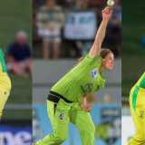 Ryan Harris keen for extended stint as bowling coach