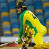 Carey praised for calmness but T20 captaincy remains up for grabs