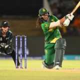 South Africa storm back into contention as hapless NZ face meek elimination