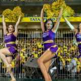 Psst, the IPL has all the adult entertainment your desperate little heart craves