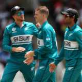 Ferguson's incredible 4-4-0-3 helps NZ exit T20 World Cup on a high
