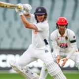 Run out thwarts Harris after promising half-century