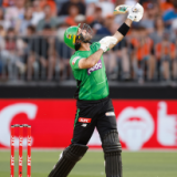 Maxwell backed to bring his big-game instincts to BBL finals