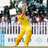 McSweeney 123, Beardman four-for down India A