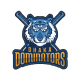 Dominators