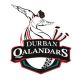 Qalandars