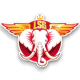 LSG