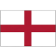 Eng Lions