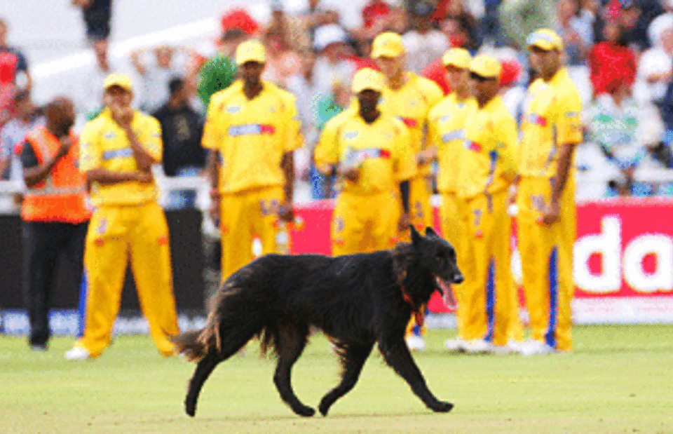In times of dogs and bad floodlights holding up play, do we need a strategy break as well?