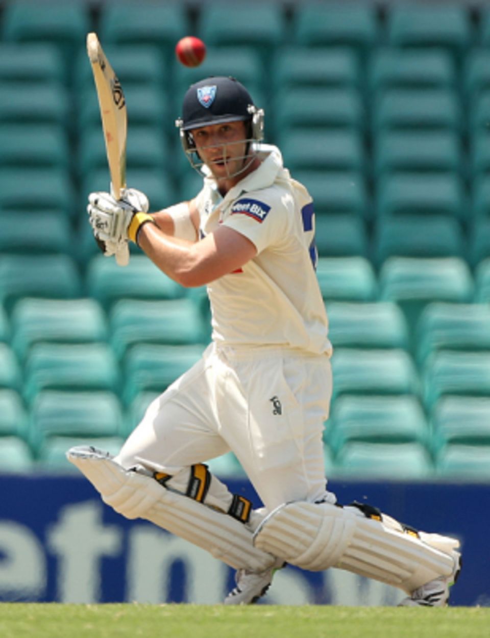 Phillip Hughes set the platform for the Blues with 122