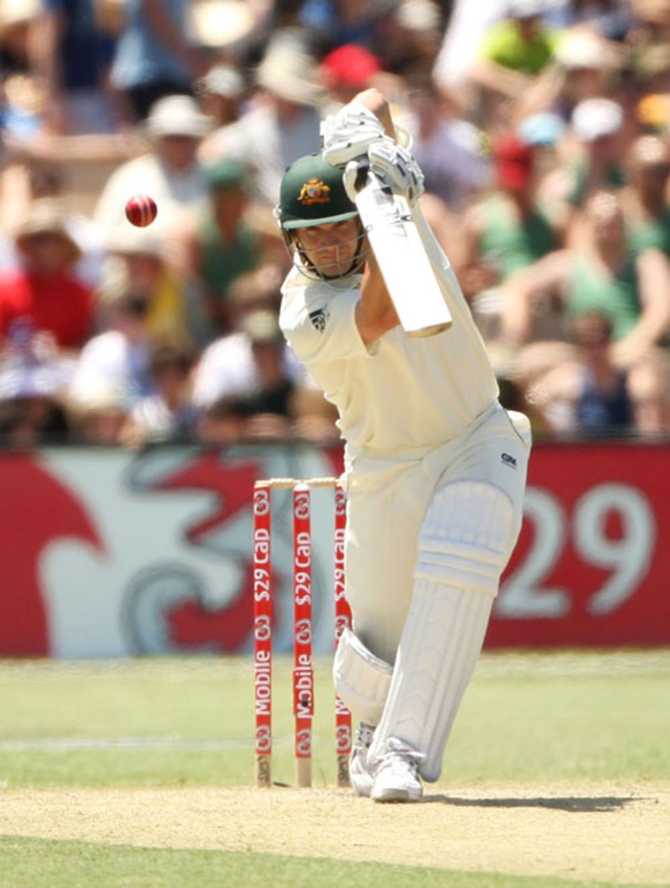 Shane Watson plays straight