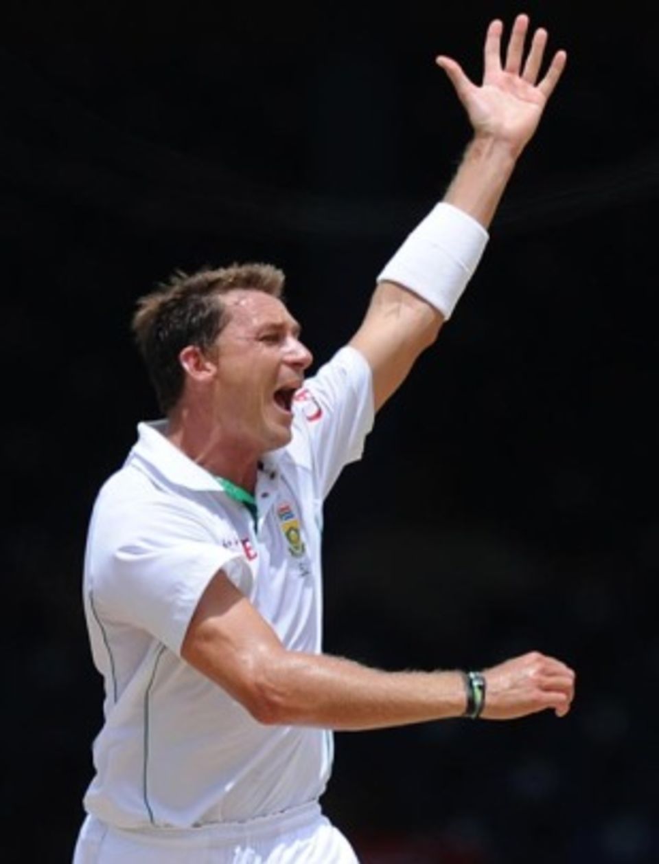 Dale Steyn was Man of the Series for his 15 wickets