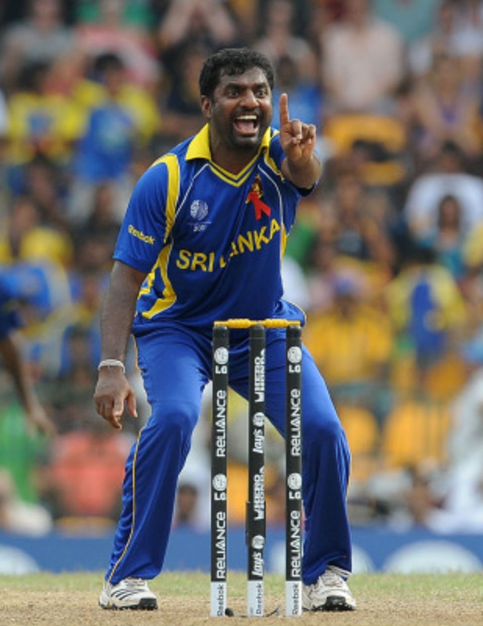 Larsen: "He [Murali] was very affordable and comparable to what the other key overseas players have received in New Zealand."