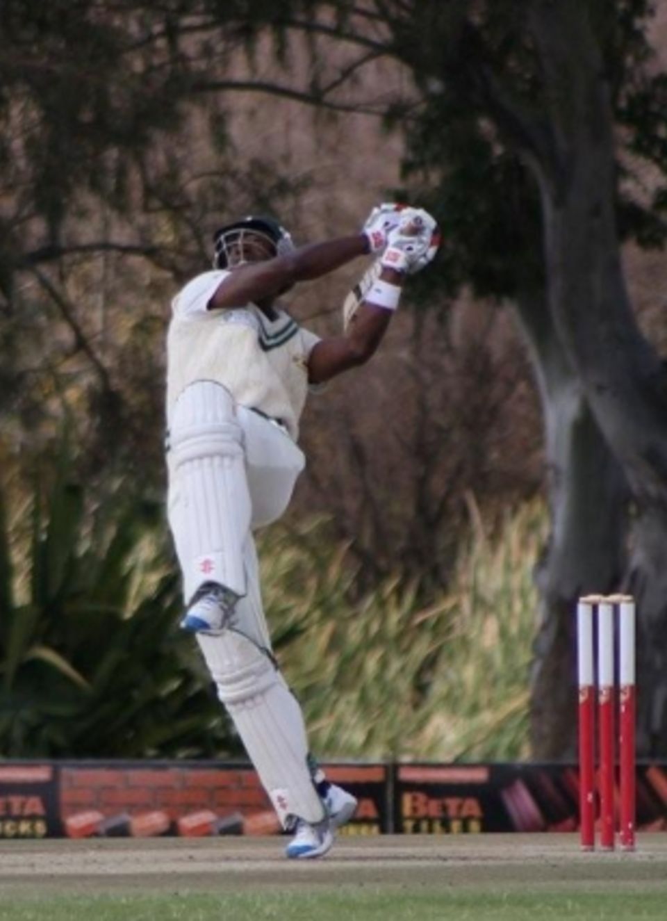 Vusi Sibanda held Zimbabwe XI's batting together with 91