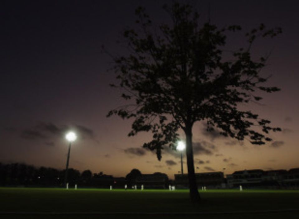 T20 floodlights light up the famous Canterbury lime tree