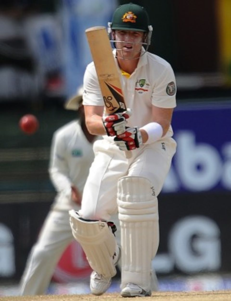 Brad Haddin may yet play Test cricket again