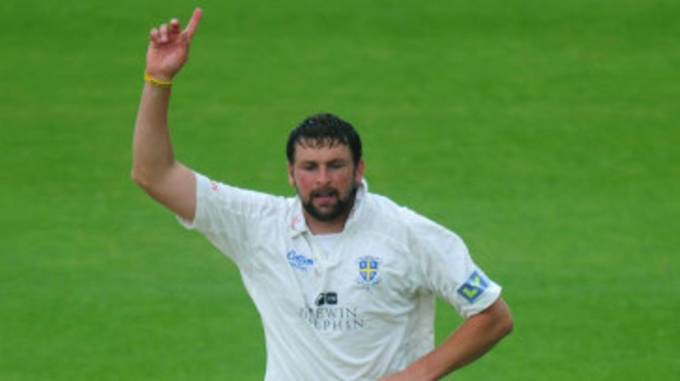 Steve Harmison celebrates a wicket