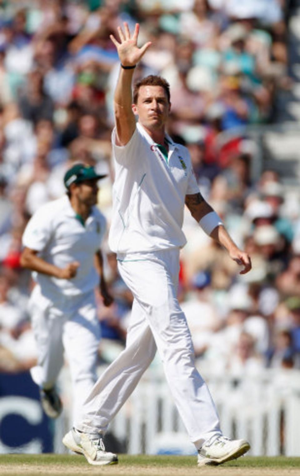 Dale Steyn celebrates his fifth wicket as South Africa closed in on victory