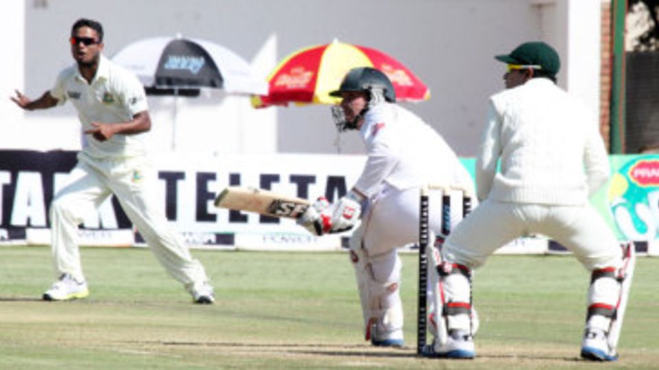 Brendan Taylor sweeps to the leg side