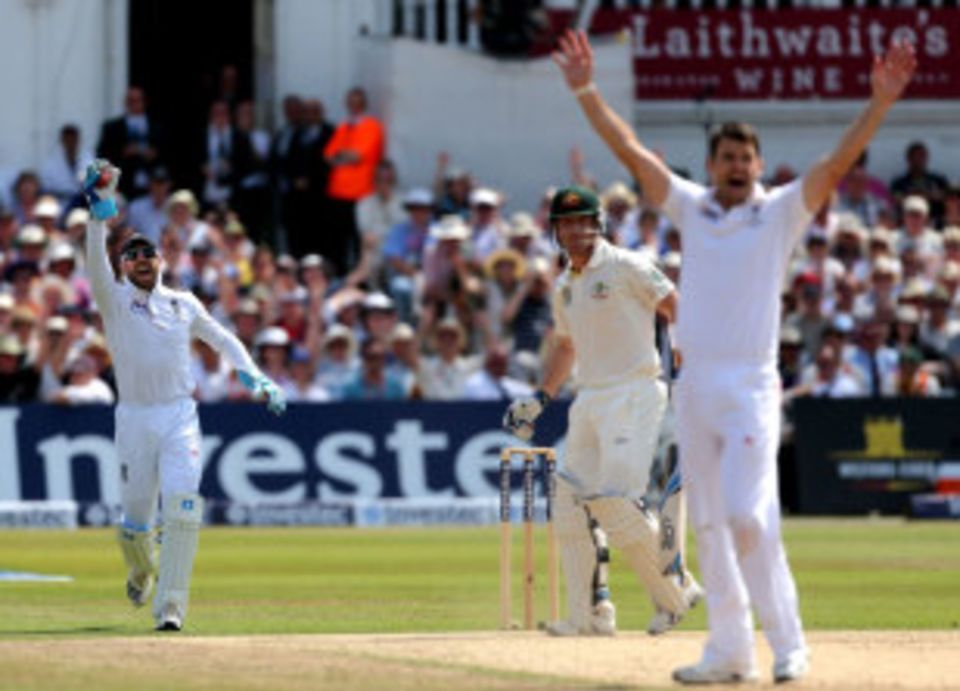 Brad Haddin was the 20th Australian wicket to fall at Trent Bridge, after an edge was detected by the DRS