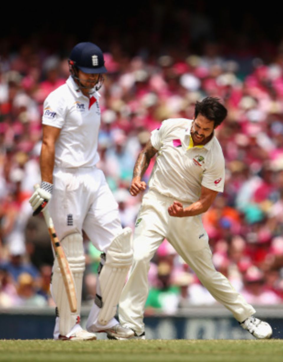 Mitchell Johnson was the spearhead of an attack that remained unchanged through the series