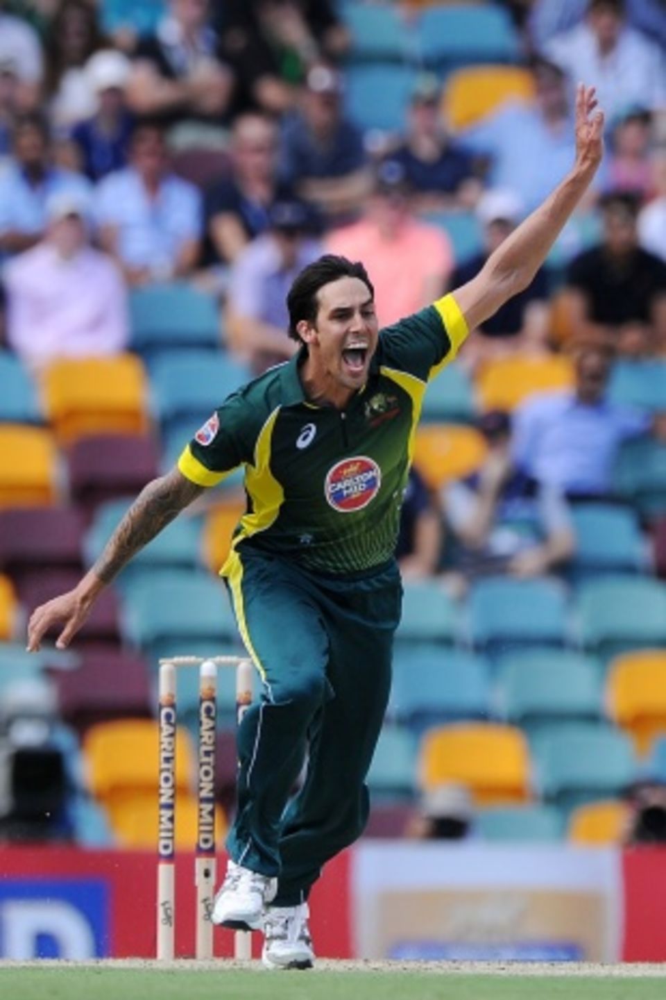 Mitchell Johnson was bought by Kings XI Punjab
