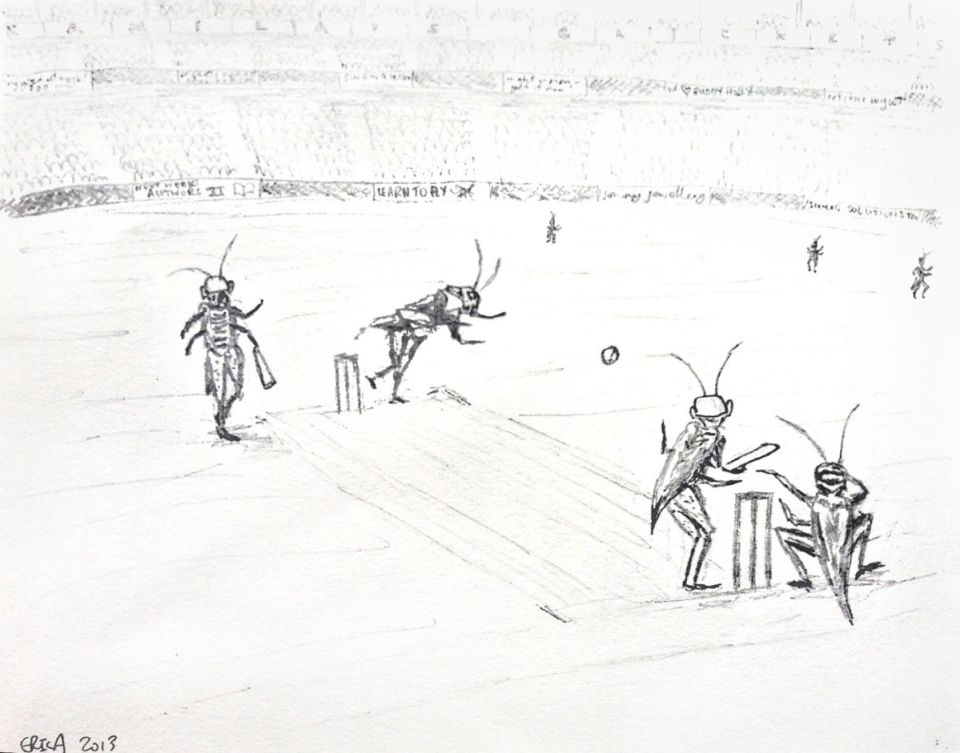 The soundscape of cricket