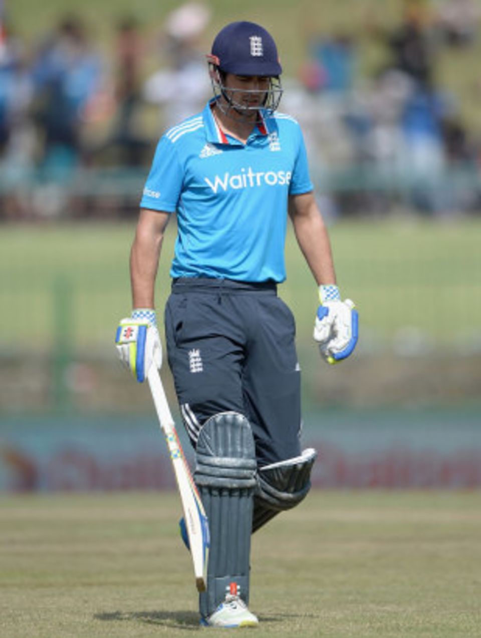 Alastair Cook is most certainly Paul Downton's man for the World Cup
