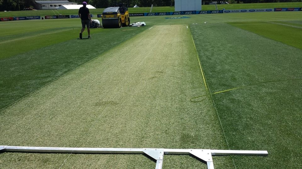 Pitches for the championship would need to be overseen by an independent arbiter working closely with the curators at each venue