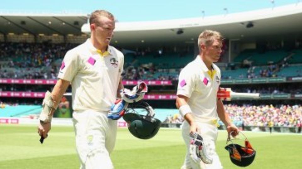 David Warner and Chris Rogers had their first century stand of the series