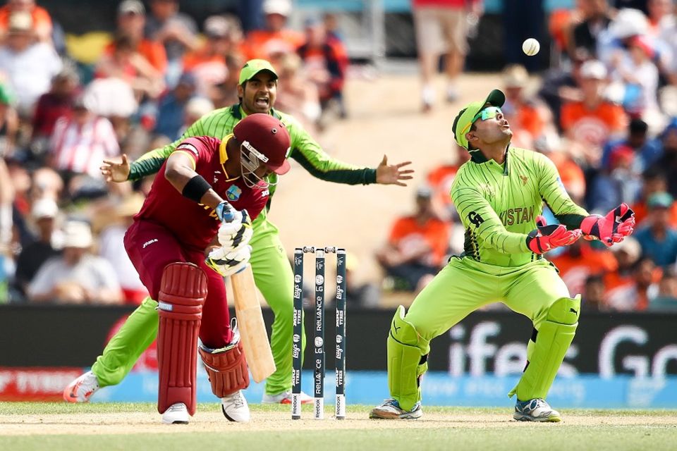 Oops, I did it again: Pakistan's fielding in Christchurch did resemble cornered tigers. They appeared not to have hands